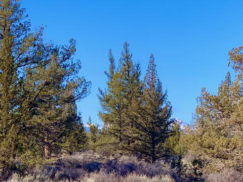 18028 Cascade Estates Dr, Bend, OR 97703 photo 2
