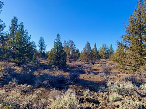 18028 Cascade Estates Dr, Bend, OR 97703 photo 7