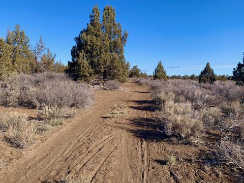 18028 Cascade Estates Dr, Bend, OR 97703 photo 14