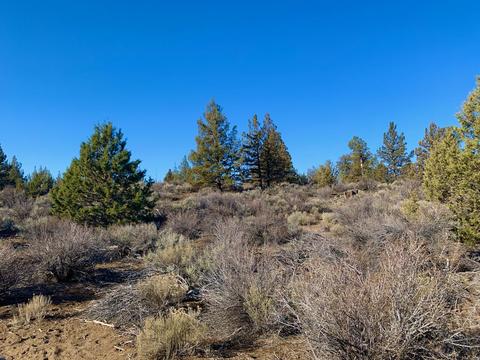 18028 Cascade Estates Dr, Bend, OR 97703 photo 21