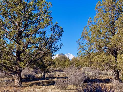 18028 Cascade Estates Dr, Bend, OR 97703 photo 4