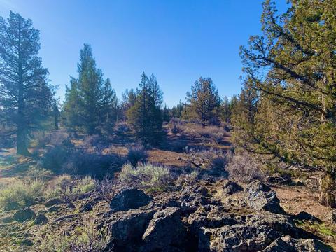 18028 Cascade Estates Dr, Bend, OR 97703 photo 8