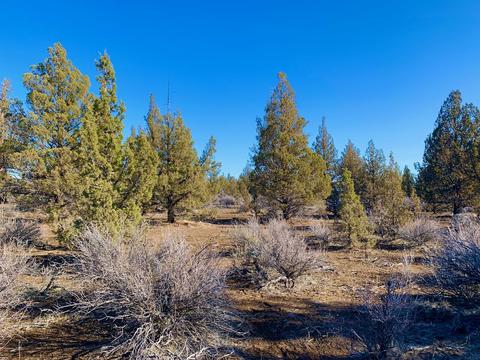 18028 Cascade Estates Dr, Bend, OR 97703 photo 5