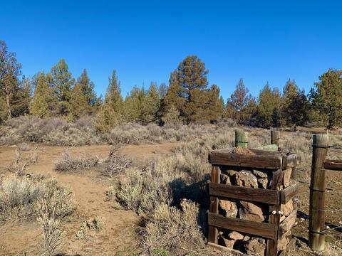 18028 Cascade Estates Dr, Bend, OR 97703 photo 15
