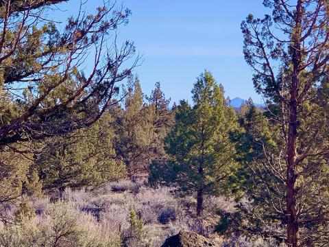 18028 Cascade Estates Dr, Bend, OR 97703 photo 24