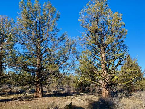 18028 Cascade Estates Dr, Bend, OR 97703 photo 28