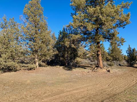 18028 Cascade Estates Dr, Bend, OR 97703 photo 16