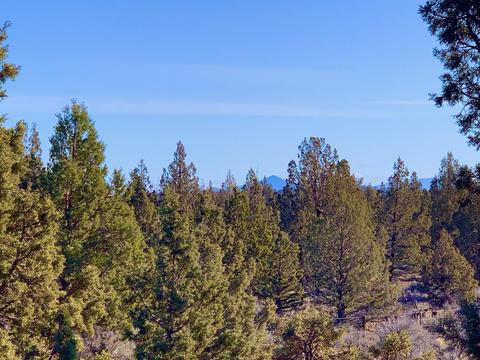 18028 Cascade Estates Dr, Bend, OR 97703 photo 25