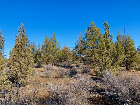 18028 Cascade Estates Dr, Bend, OR 97703 photo 6