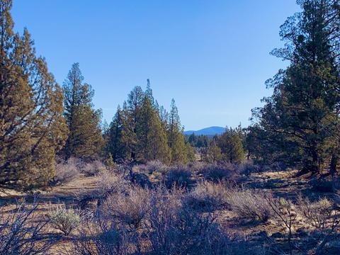 18028 Cascade Estates Dr, Bend, OR 97703 photo 27