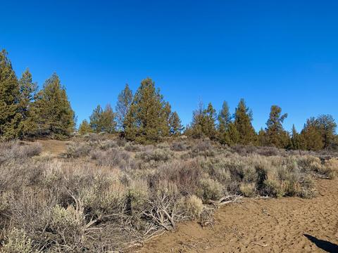 18028 Cascade Estates Dr, Bend, OR 97703 photo 20