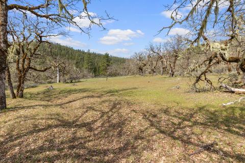 6250 W Side Rd, Cave Junction, OR 97523 photo 38