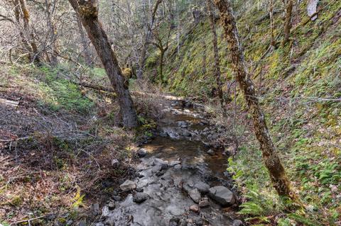 6250 W Side Rd, Cave Junction, OR 97523 photo 43
