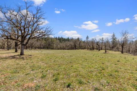 6250 W Side Rd, Cave Junction, OR 97523 photo 37