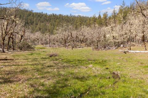 6250 W Side Rd, Cave Junction, OR 97523 photo 39