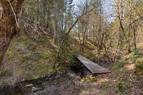 6250 W Side Rd, Cave Junction, OR 97523 photo 42