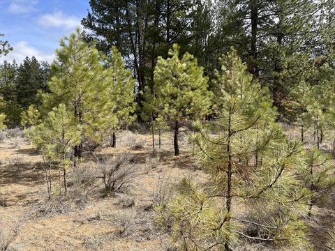 60069 Cheyenne Rd, Bend, OR 97702 photo 9