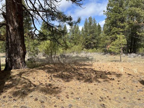 60069 Cheyenne Rd, Bend, OR 97702 photo 8