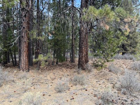 60069 Cheyenne Rd, Bend, OR 97702 photo 5