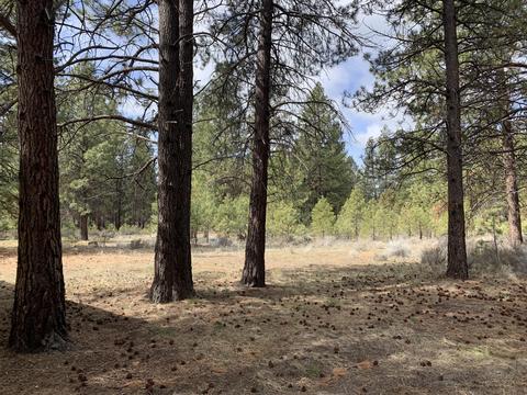 60069 Cheyenne Rd, Bend, OR 97702 photo 4