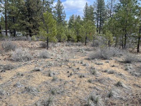 60069 Cheyenne Rd, Bend, OR 97702 photo 7