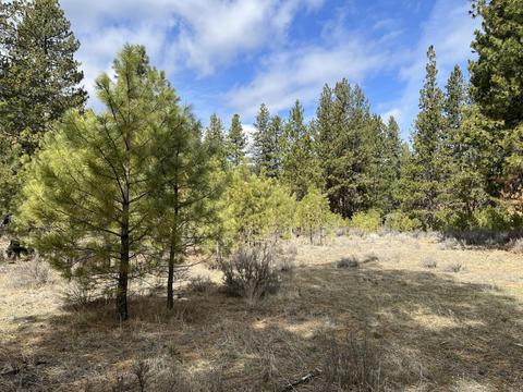 60069 Cheyenne Rd, Bend, OR 97702 photo 6