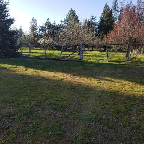700 Garner Rd, Cave Junction, OR 97523 photo 51
