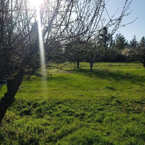 700 Garner Rd, Cave Junction, OR 97523 photo 43