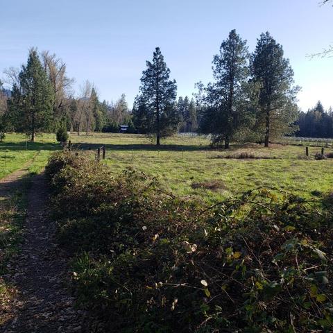 700 Garner Rd, Cave Junction, OR 97523 photo 53