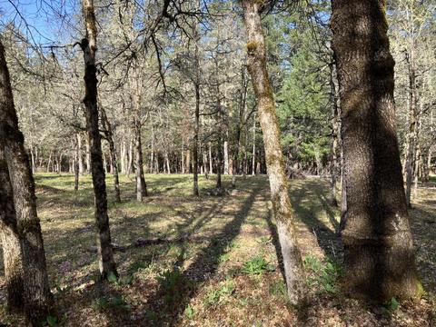 274 Echo Way, Merlin, OR 97532 photo 5