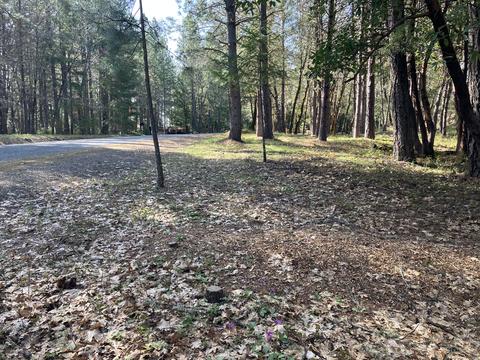 274 Echo Way, Merlin, OR 97532 photo 6