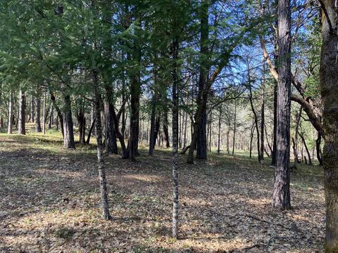 274 Echo Way, Merlin, OR 97532 photo 2