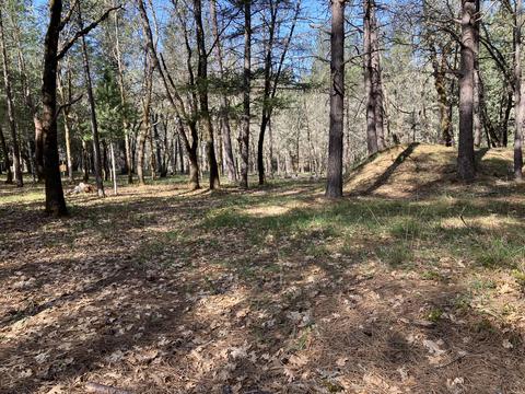 274 Echo Way, Merlin, OR 97532 photo 3