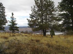 851 Bailey Mountain Rd SW, Klamath Falls, OR 97601