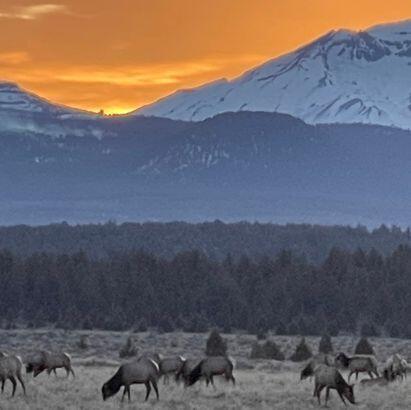 66079 Highway 20, Bend, OR 97703 photo 35