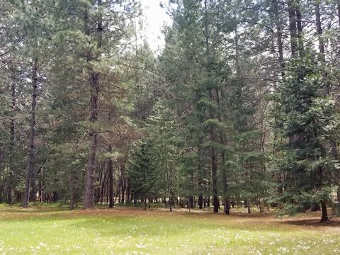 1075 E Crow Rd, Merlin, OR 97532 photo 13