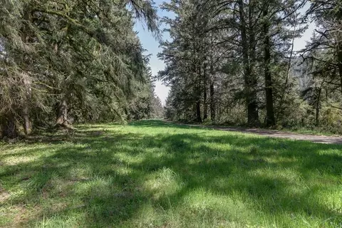8835 Duncan Island Rd, Mapleton, OR 97453 photo 27
