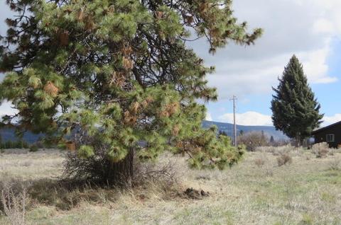 B43, Chiloquin, OR 97624 photo 6