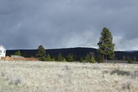 B43, Chiloquin, OR 97624 photo 5