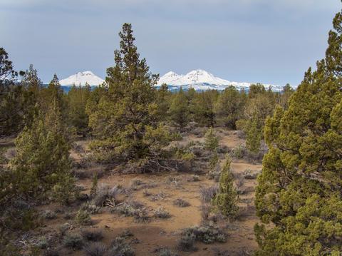 18024 Cascade Estates Dr, Bend, OR 97703 photo 2