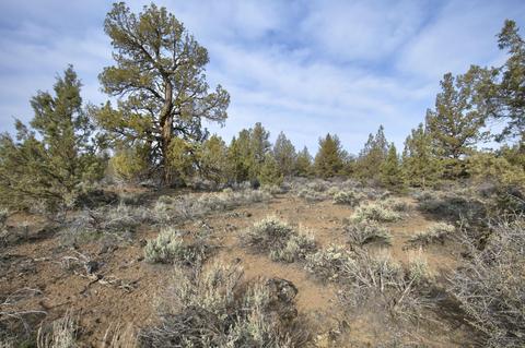 18024 Cascade Estates Dr, Bend, OR 97703 photo 10