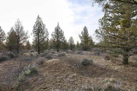 18024 Cascade Estates Dr, Bend, OR 97703 photo 12