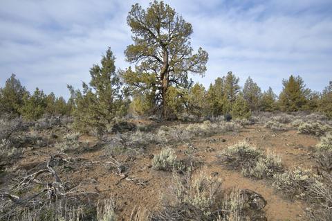 18024 Cascade Estates Dr, Bend, OR 97703 photo 22