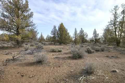 18024 Cascade Estates Dr, Bend, OR 97703 photo 15
