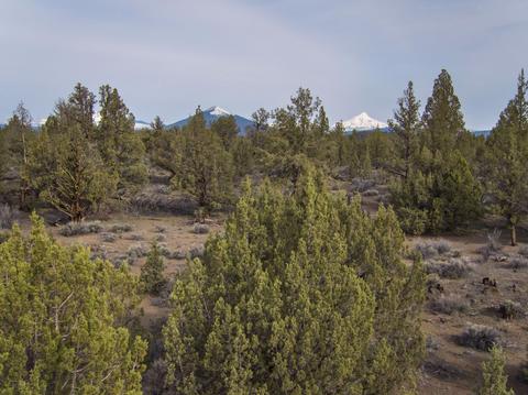 18024 Cascade Estates Dr, Bend, OR 97703 photo 3