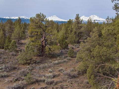 18024 Cascade Estates Dr, Bend, OR 97703 photo 1
