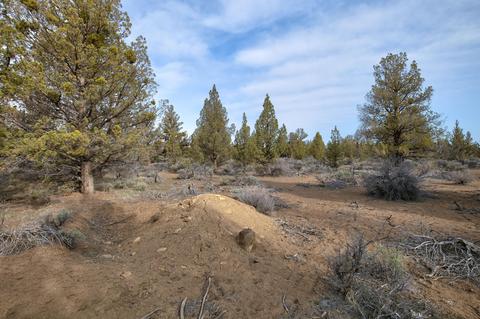 18024 Cascade Estates Dr, Bend, OR 97703 photo 13