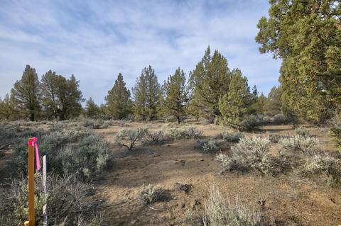 18024 Cascade Estates Dr, Bend, OR 97703 photo 7