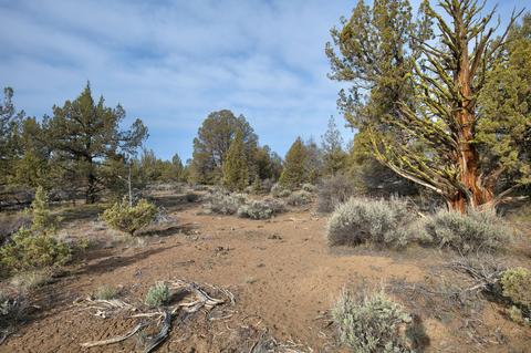 18024 Cascade Estates Dr, Bend, OR 97703 photo 9