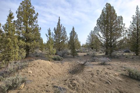 18024 Cascade Estates Dr, Bend, OR 97703 photo 23